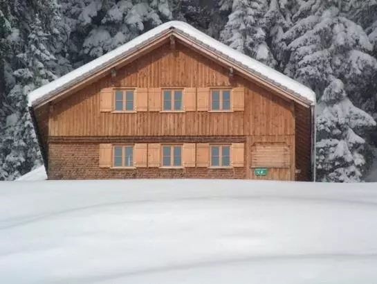 Отель Panoramahuetten Sonderdach