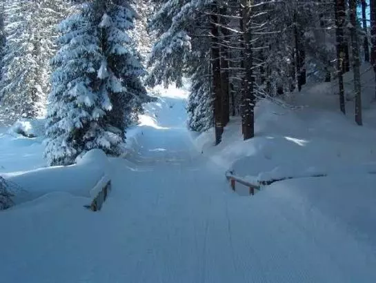 Отель Panoramahuetten Sonderdach