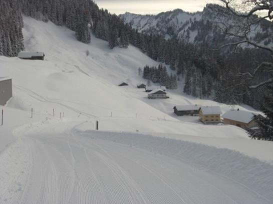 Отель Panoramahuetten Sonderdach