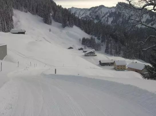 Отель Panoramahuetten Sonderdach