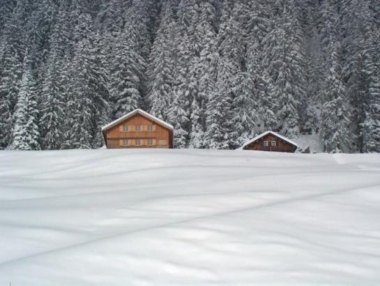 Отель Panoramahuetten Sonderdach