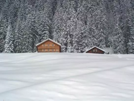 Отель Panoramahuetten Sonderdach