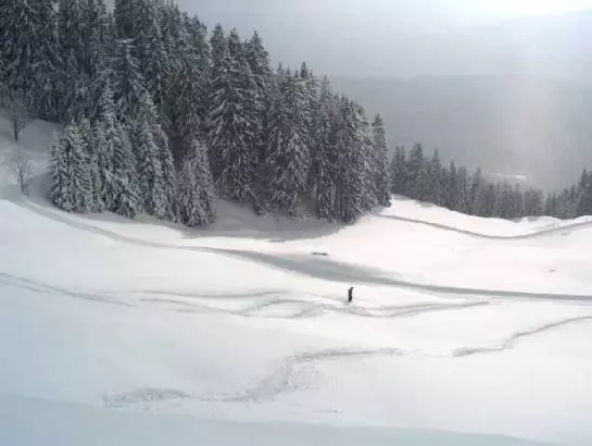 Отель Panoramahuetten Sonderdach