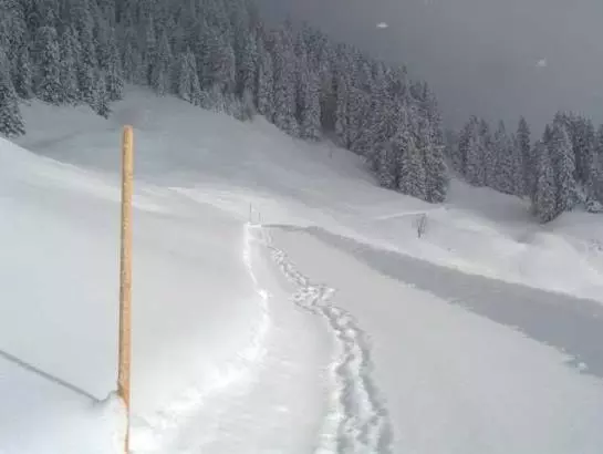 Отель Panoramahuetten Sonderdach