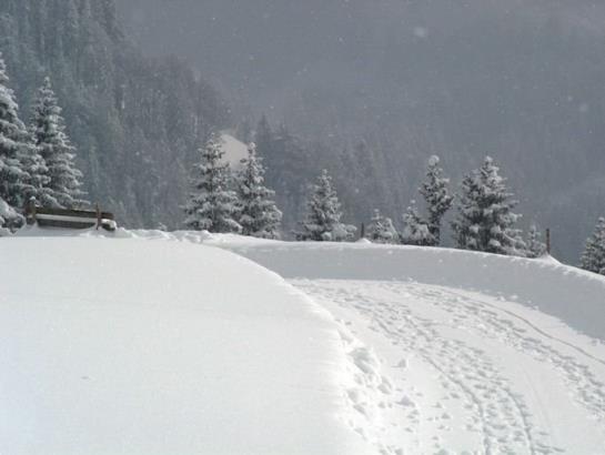 Отель Panoramahuetten Sonderdach