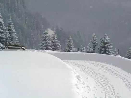 Отель Panoramahuetten Sonderdach