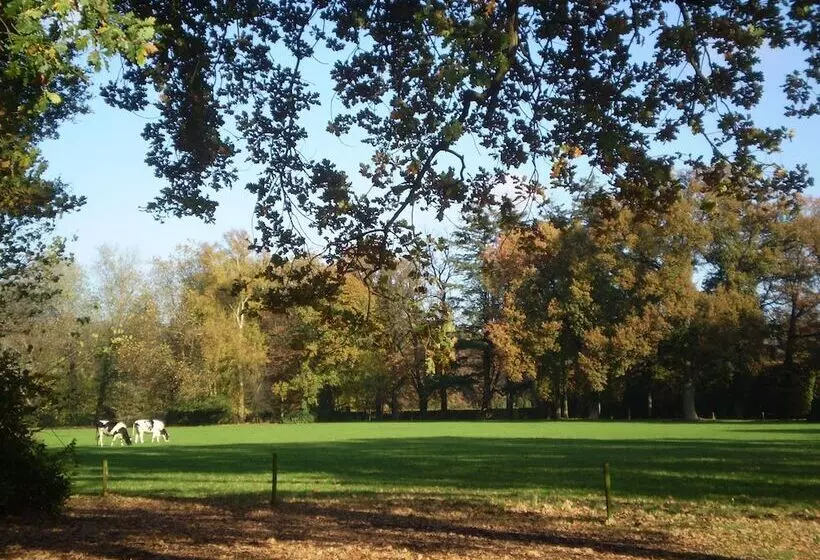 Hotell & Restaurant 't Holt