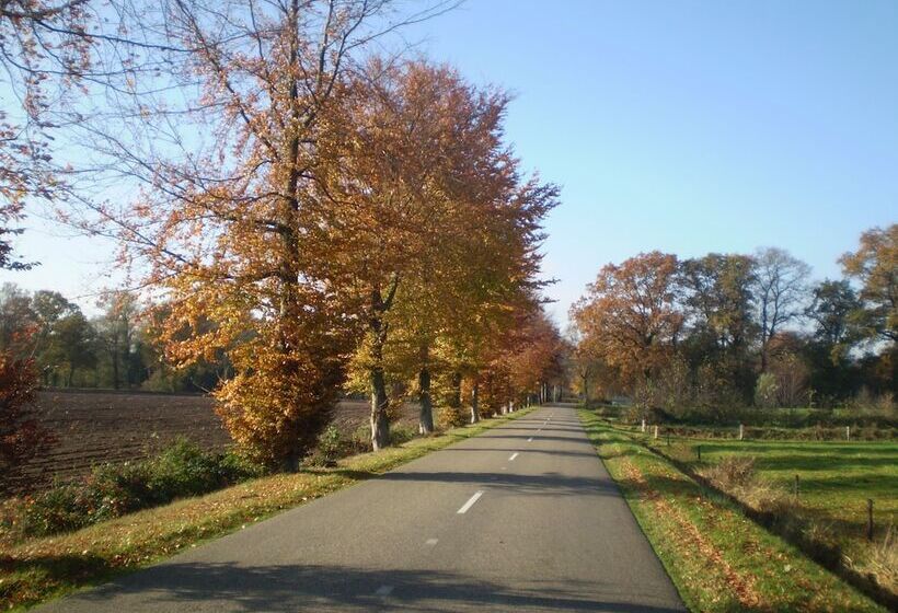 בית מלון כפרי & Restaurant 't Holt