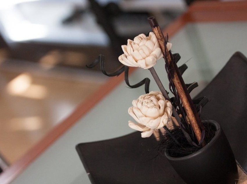 Sibenik Apartments Stars