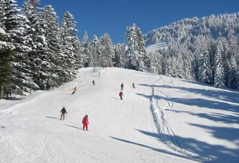 פנסיון Berggasthof Hochlitten