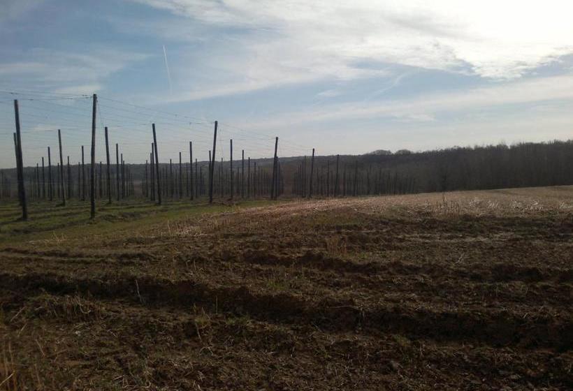 Pensão Gasthof Euverem