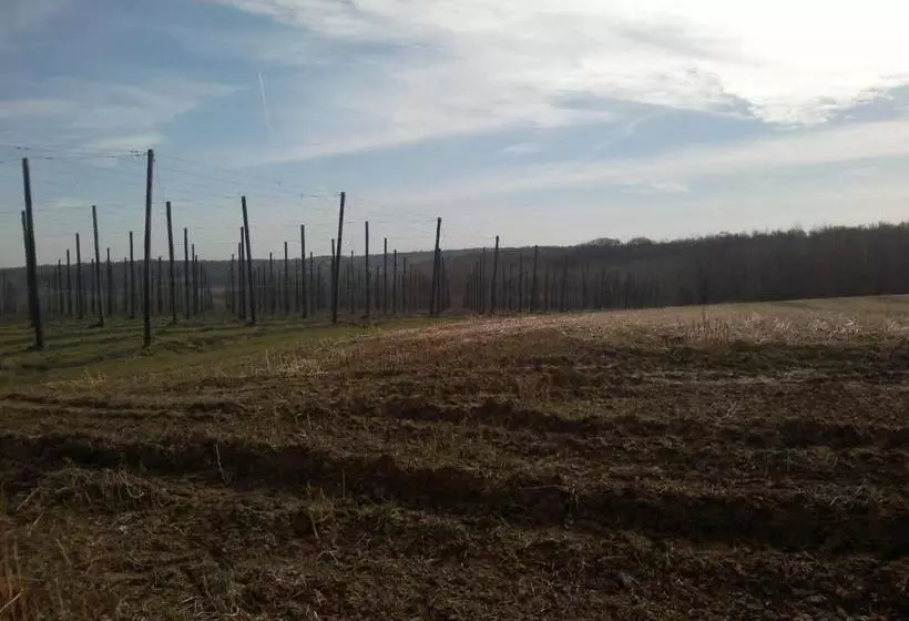 Pensión Gasthof Euverem