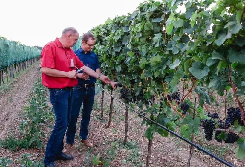 Pansiyon Weingut Gastehaus Palkowitsch