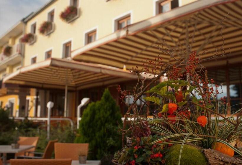 Simon   Hotel & Café