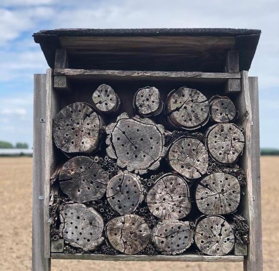 Gastenverblijf Op De Prins Hendrik Hoeve In Buren