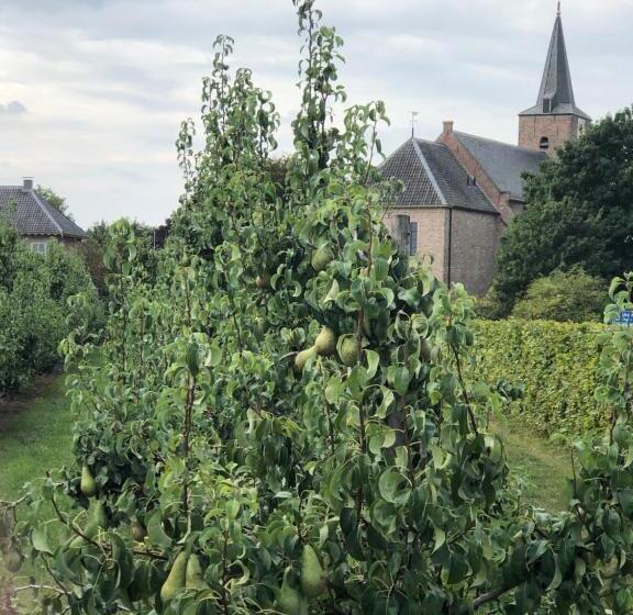 Gastenverblijf Op De Prins Hendrik Hoeve In Buren