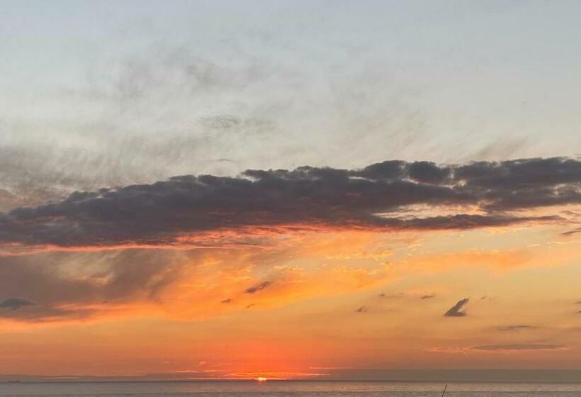 Rock’s Beach Spot Suit