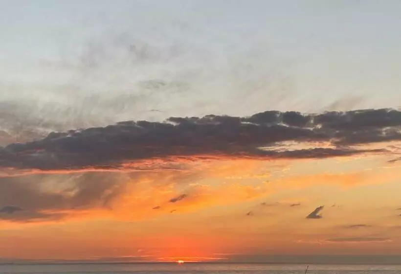 Rock’s Beach Spot Suit