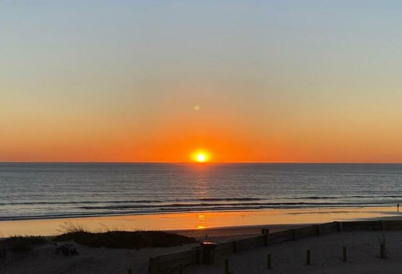 Rock’s Beach Spot Suit