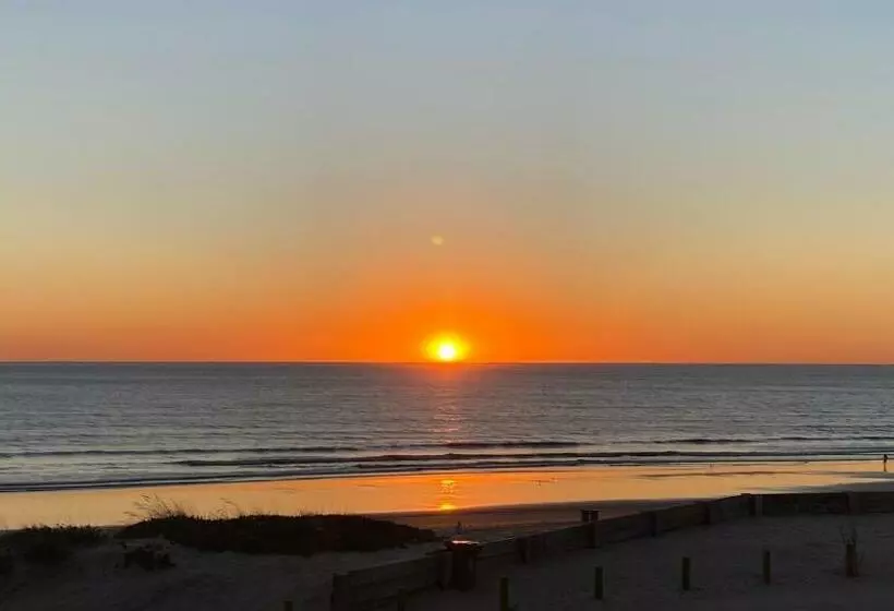 Rock’s Beach Spot Suit