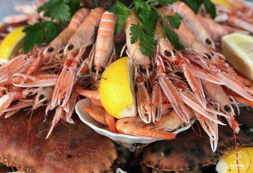 Ty Maneguy Maison Neuve Et Confortable