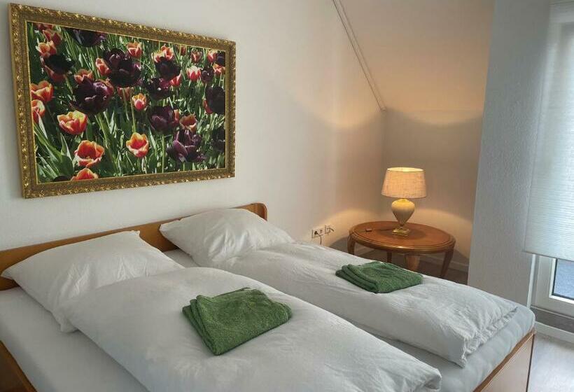 2 Zimmer Appartement