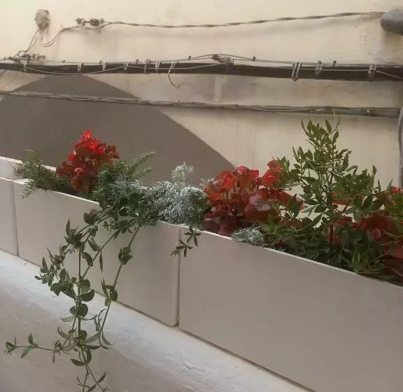 Casa Sifra Delizioso Appartamento Nel Cuore Del Centro Storico Di Sperlonga