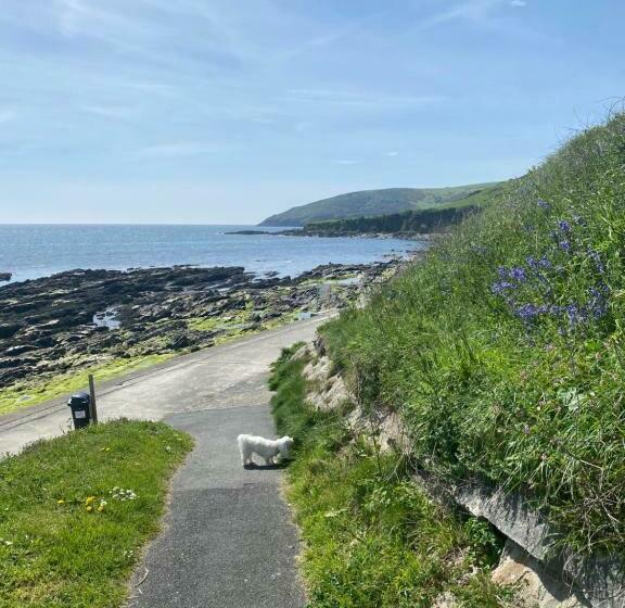 Sea Spirit   Sweeping Sea Views First Floor Spacious Modern Apartment In Looe  With Free Parking!