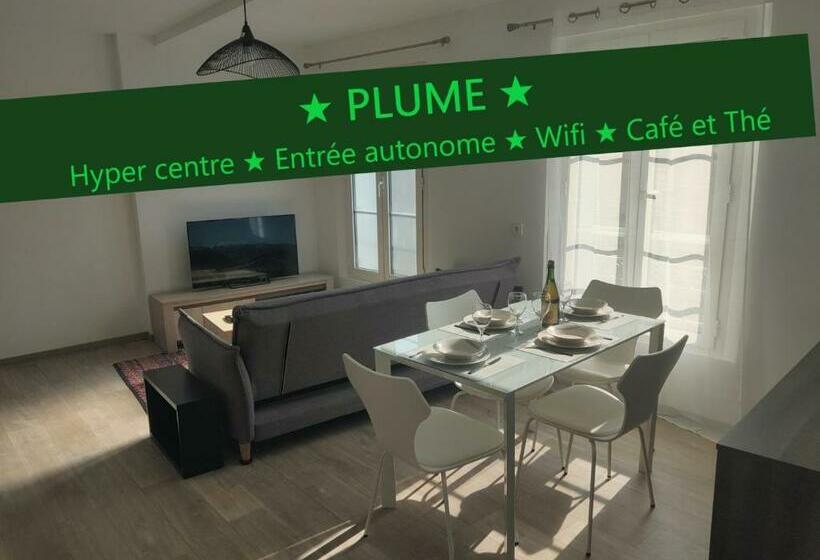 Appartement T3 Plume Hyper Centre D Ernée