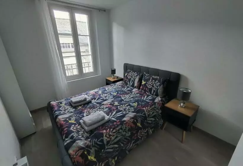 Appartement T3 Plume Hyper Centre D Ernée