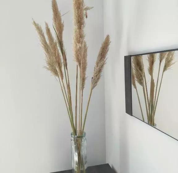 Appartement T3 Plume Hyper Centre D Ernée