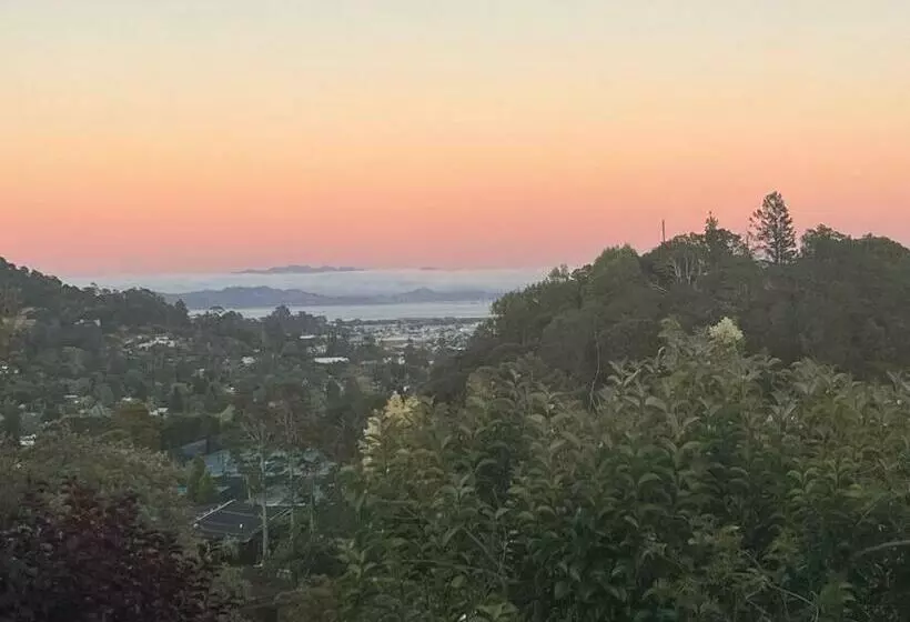 Modern, View Home On San Rafael/san Anselmo Border