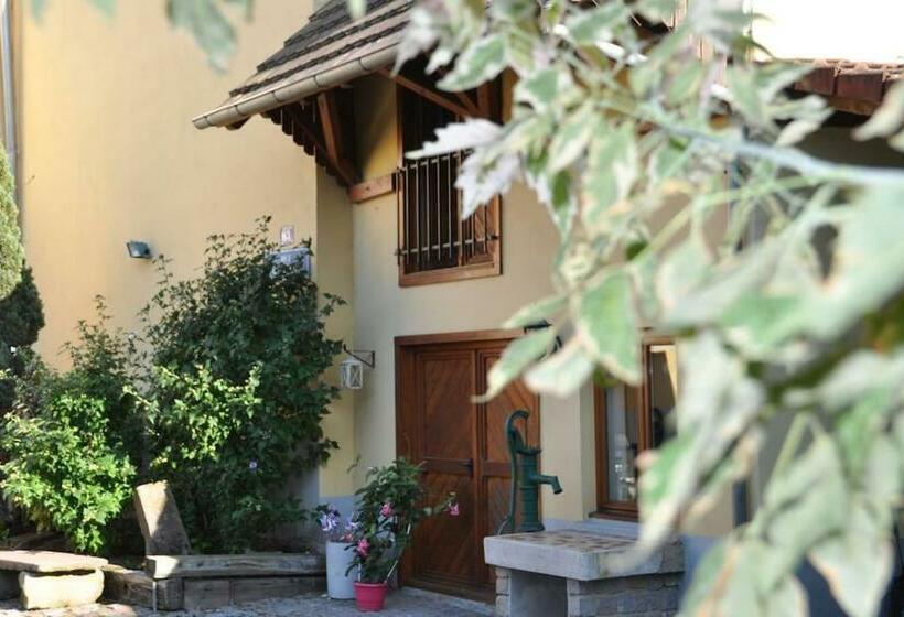 Strasbourg Dans Maison Individuelle Au Calme