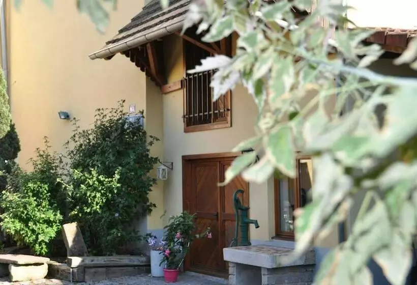 Strasbourg Dans Maison Individuelle Au Calme