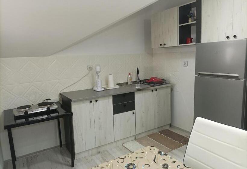 Ceca Apartment