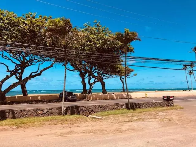 Ocean Front ~