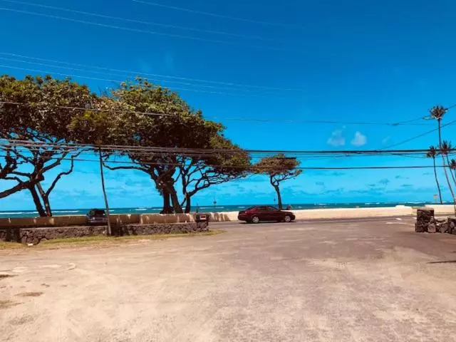 Ocean Front ~