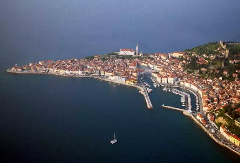 Warm Piran Apartment ❷⓿❷❷ Wein2