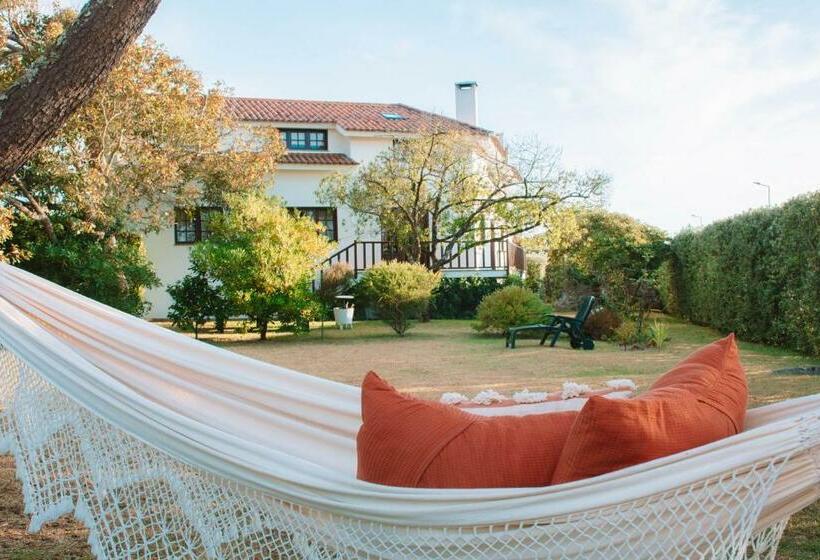 Just Like Home   Casa Da Sebe Em Moledo