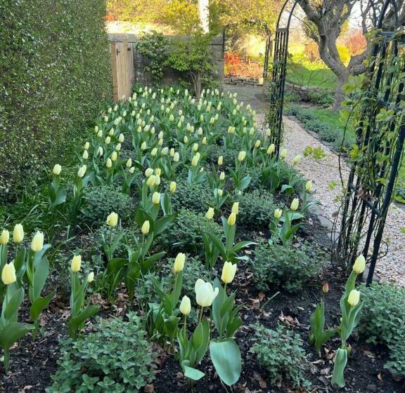 Quaint Self Contained Cottage Near Edinburgh