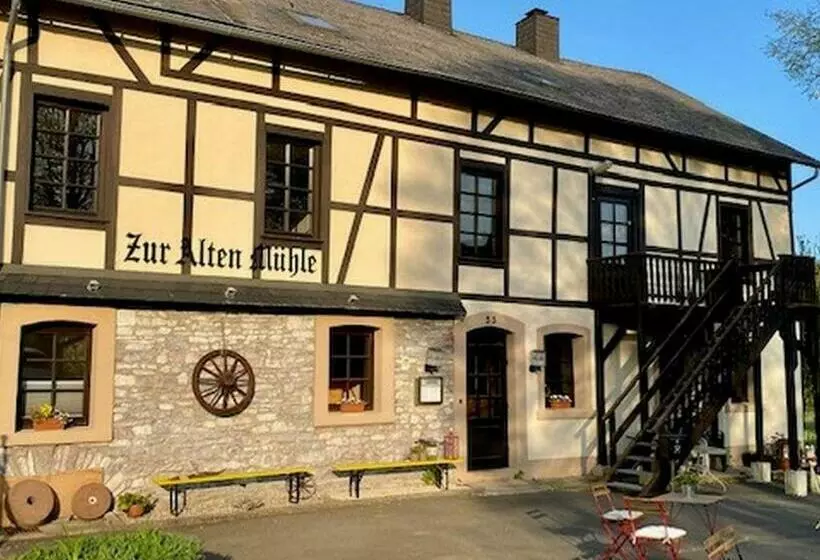 Alte Mühle Börfink