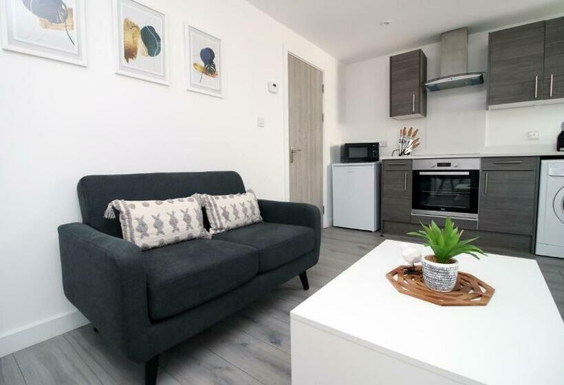 Luxury City Loft Apartment! Great Location