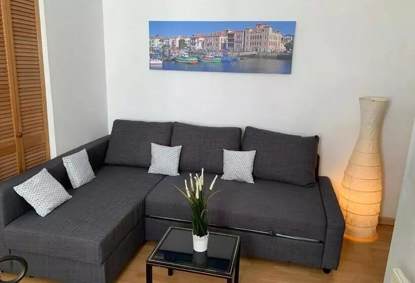 Biarritz Centre Bel Apt 2 Pièces Rue Calme