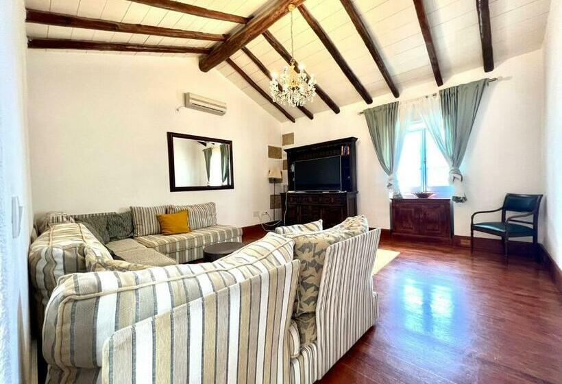 Espectacular Villa Con Piscina Infinity, Bbq Y Wifi En San Miguel De Abona, Tenerife Sur