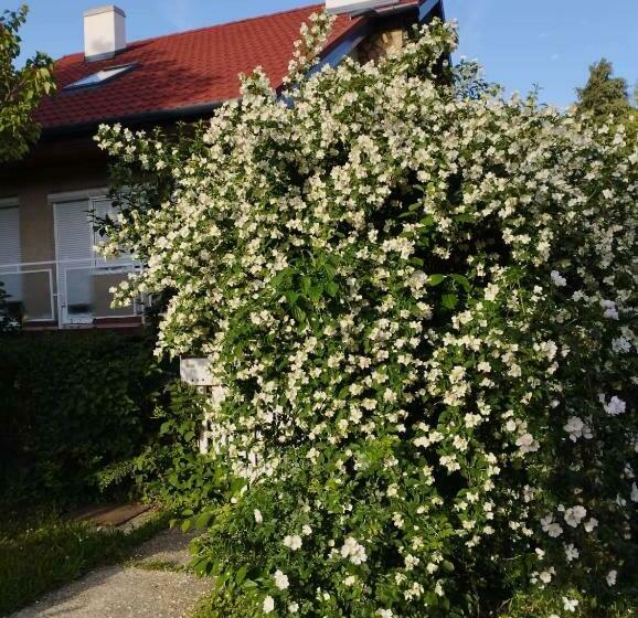 Trivulzio Vendégház   Lazíts Egy Tündéri Városban
