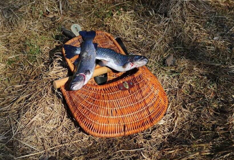 ホテル Auberge Des Moulins