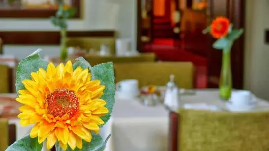 Seehotel Diekseepark Superior