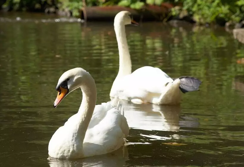 בית מלון כפרי Heidsmuhle