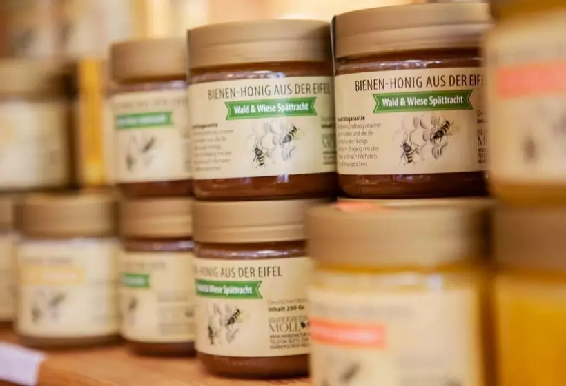 בית מלון כפרי Heidsmuhle