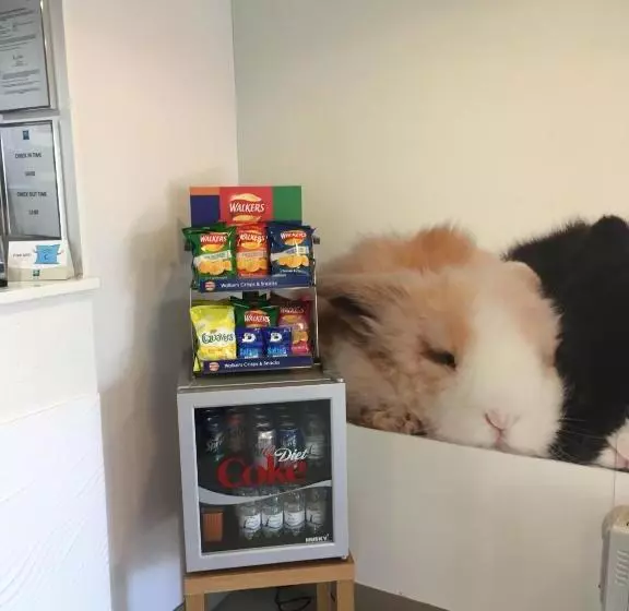 Hotel Ibis Budget Knutsford